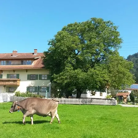 Летний дом Saegerhof Bader *