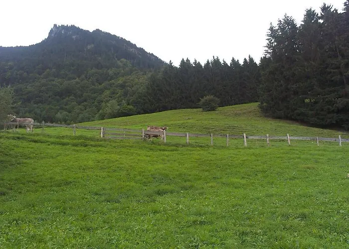 Saegerhof Bader *