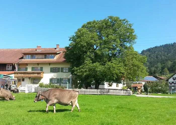 Gospodarstwo wiejskie Saegerhof Bader *