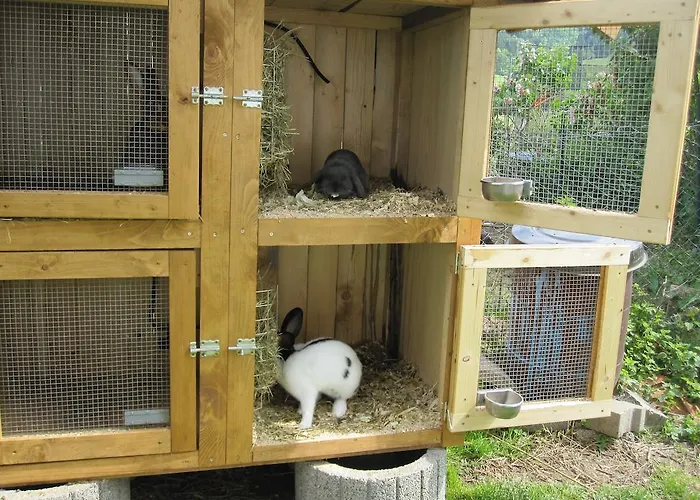 Saegerhof Bader * レッテンベルク